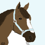 Bluebell Equestrian Academy