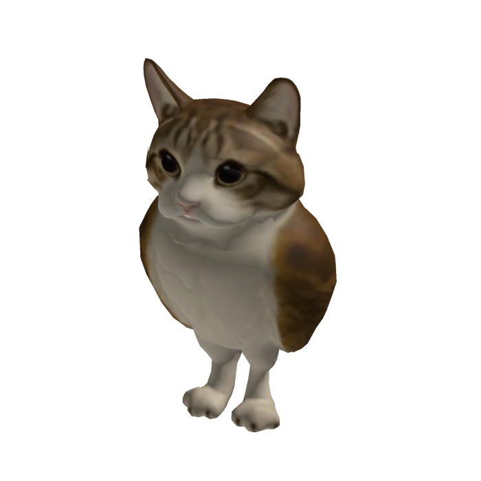 Meowl Suit