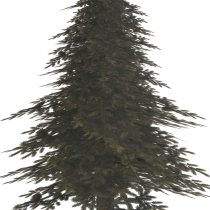 🎁 Forest Tree Stud House Palm