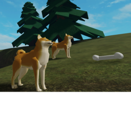 Shiba Inu Hideout