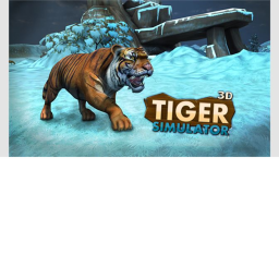 Tiger Trainings