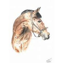 ~Ivy Hollow EQ~