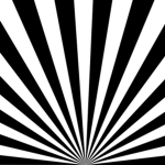 Sakura Collective