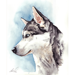 Husky