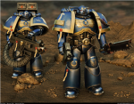 Space marine veterians