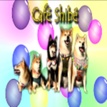 Café Shiba