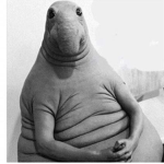 slug worth85