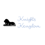Knights Kengdom