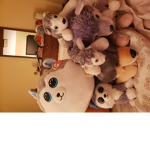 The WOLFIE_ Clan GROUP.!