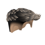 Swept Burst Fade Hair Black Highlights