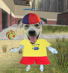 Doge Memes Clothing