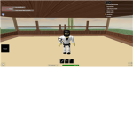 Ordinary's karate academy