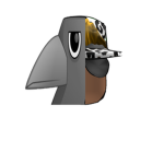 Official Team Raven/Team VIRAL