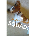 THE BASSET HOUND SQUAD!
