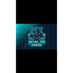 Ninja cool blue