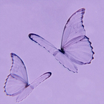 .*<LavenderCrys meadow>*.