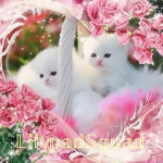 #LilyPad_Squad