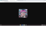 FLAMINGO IS OUR KING JOIN IF YOU WANT