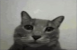 ⸻⸻⸻⸻⸻⸻⸻⸻⸻⸻⸻⸻⸻⸻⸻⸻⸻⸻⸻⸻⸻⸻⸻⸻⸻⸻⸻⸻⸻⸻⸻⸻⸻⸻⸻⸻⸻⸻⸻⸻⸻⸻⸻⸻⸻———-—