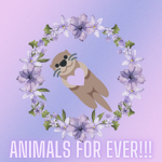 Animals for ever!!!