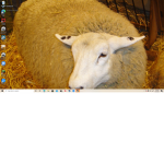 Mr. Sheep and Spino