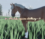 Malibu equine clothing