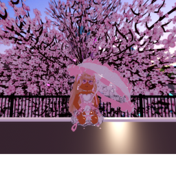 {LEGACY} 🌺 Paola's Hangout and Meet and Greet 🌺