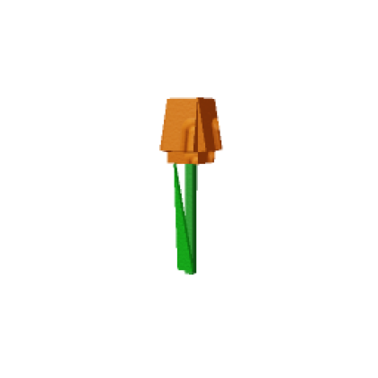 Orange Tulip