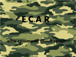 E.C.A.R