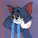 CRY $TYLE