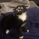 Specific People Group