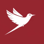 RSS | Rotherhampton Secondary School