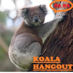 Koala's Hangout