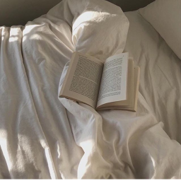 🕊️