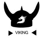 The Viking Clan_