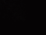 Starlight Dance Company | ORA