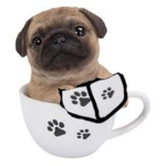 The pug fighters group
