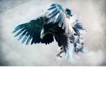 Hawkshot Clan
