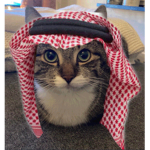 wagwan friend
