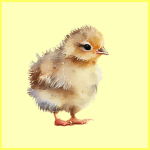 ~Duck Nuggets~