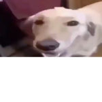SLIMERK BOBUX