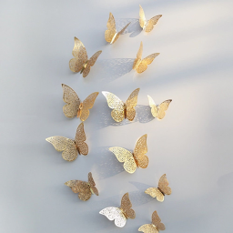 butterfly c a f e