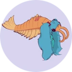 Anomikulocaris