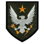 The Dark Fire Spartans
