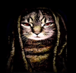Enigma.pmo
