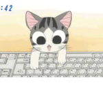 KP_KN Group