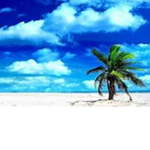 Paradise Games Group