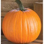 Pumpkin's United
