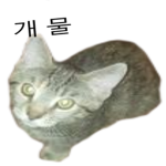 개 물