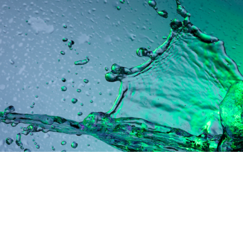 kill zombies to protect maxwells and sad bacons>: